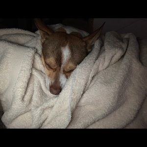 Meet your Posher, Martha